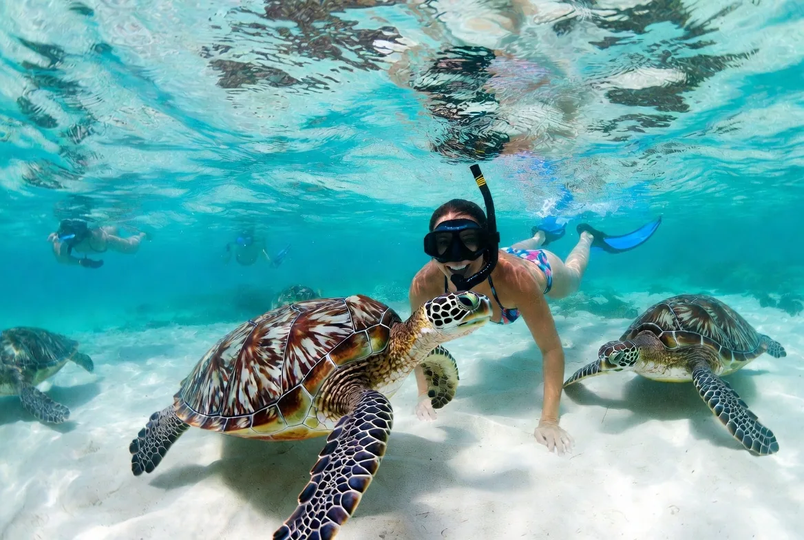Akumal — sea turtle snorkeling, Riviera Maya