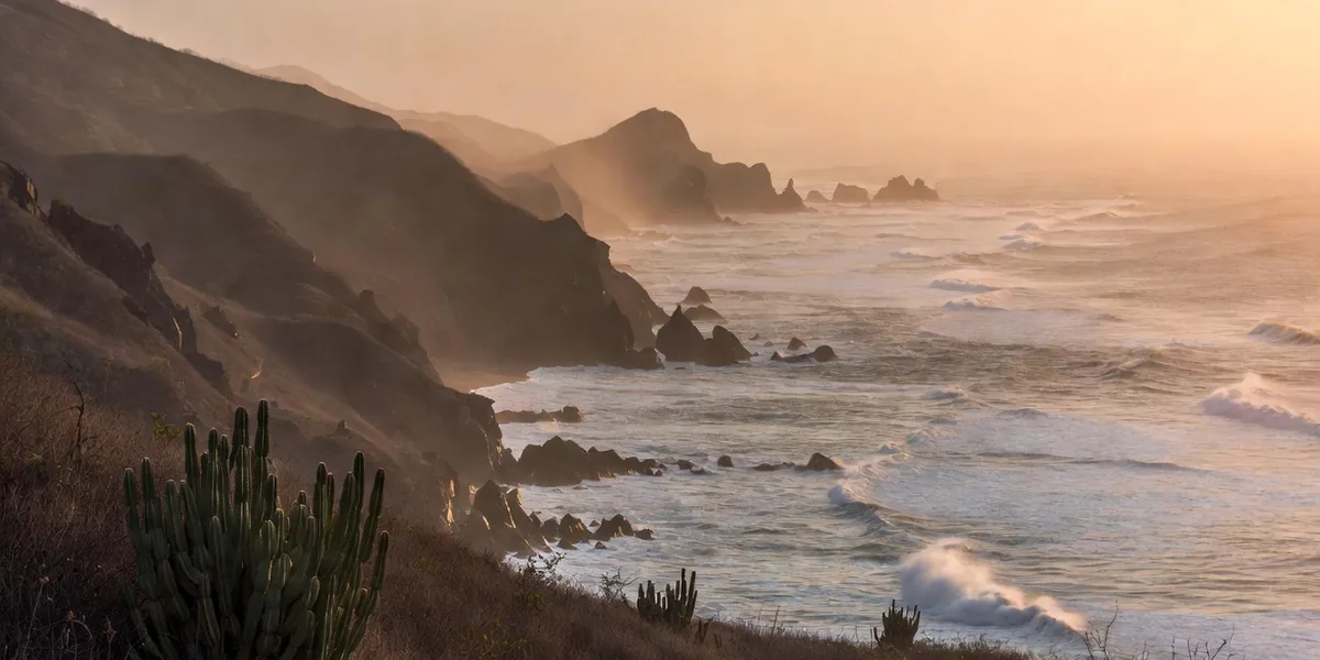 Golden-hour view down the wild Oaxaca coast with headlands, surf and cactus in the foreground