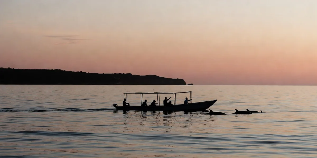 Dolphins surfacing beside a panga on a sunrise boat tour off the Oaxaca coast