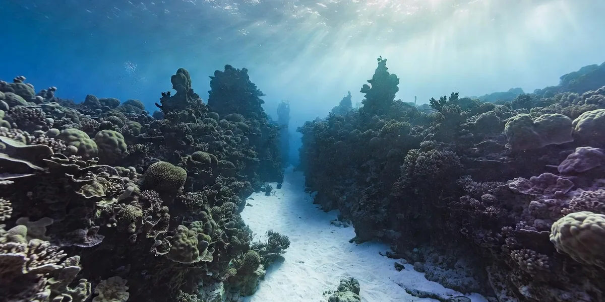 Coral pinnacles and swim-through canyons of Palancar Gardens with a diver silhouette, Cozumel
